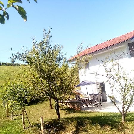 Villa Grajsko Metlika Exterior foto