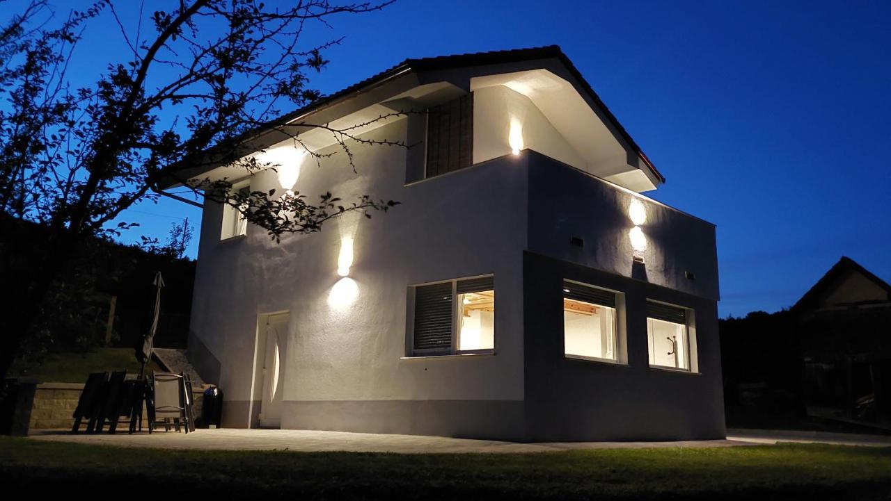 Villa Grajsko Metlika Exterior foto