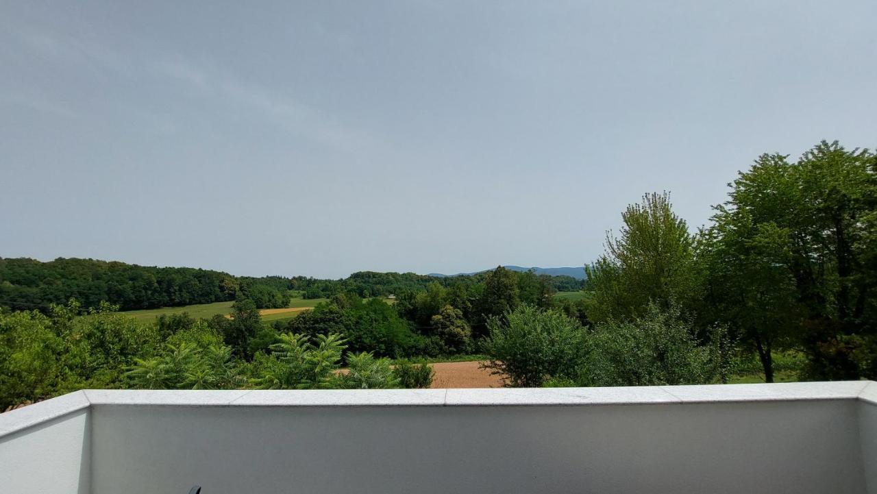 Villa Grajsko Metlika Exterior foto