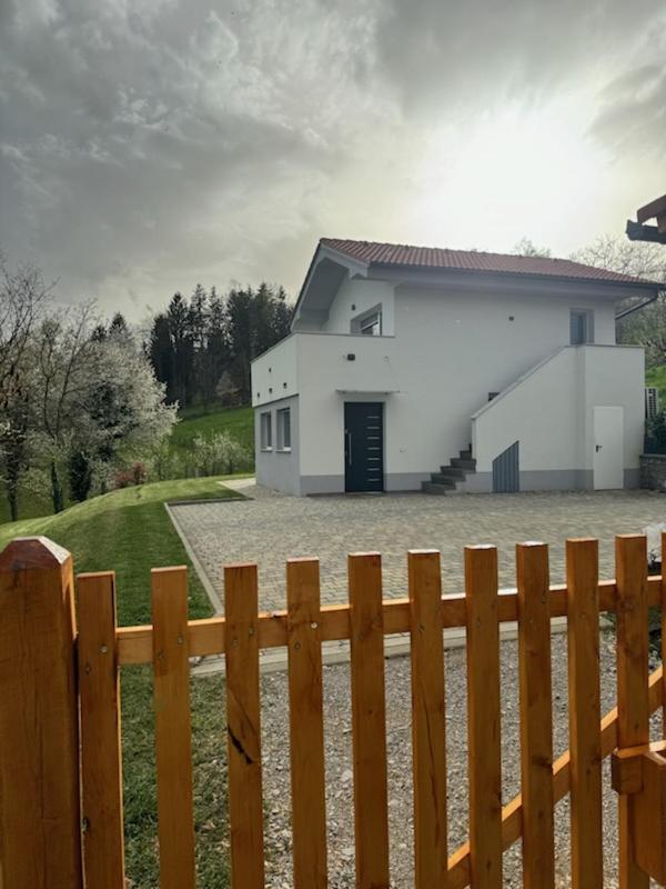 Villa Grajsko Metlika Exterior foto